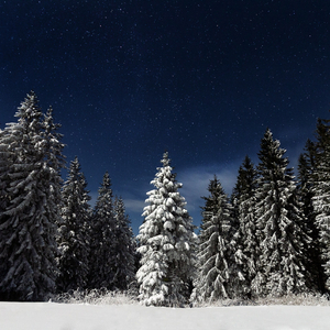 91传媒-熊猫成人网
